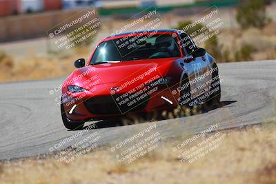 media/Mar-08-2025-Extreme Speed (Sat) [[4abb97269e]]/Purple/Turns 2  and  4 (Session 2)/